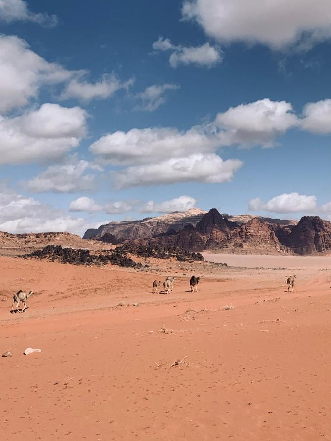 Wadi Rum Story ภายนอก รูปภาพ