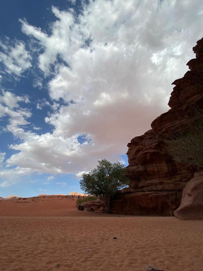 Wadi Rum Story ภายนอก รูปภาพ